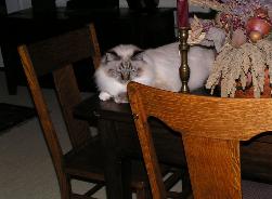 Click Me for a Better View