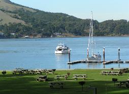 Click Me for a Better View