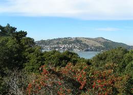 Click Me for a Better View